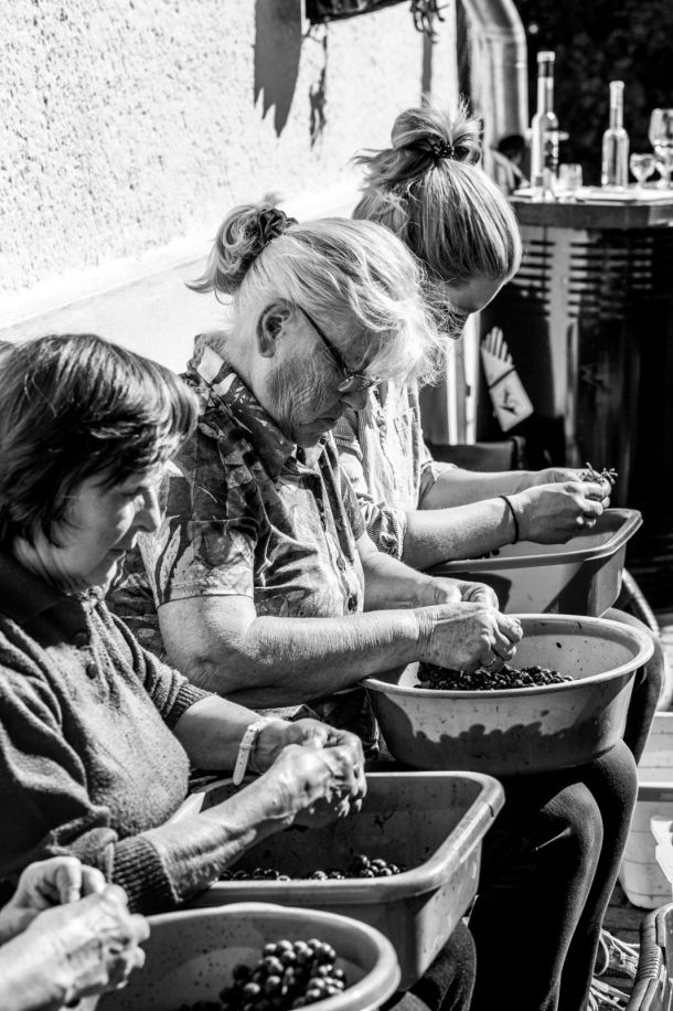 HQMG3404-c570ef9e jens-richter.com | Weinlese