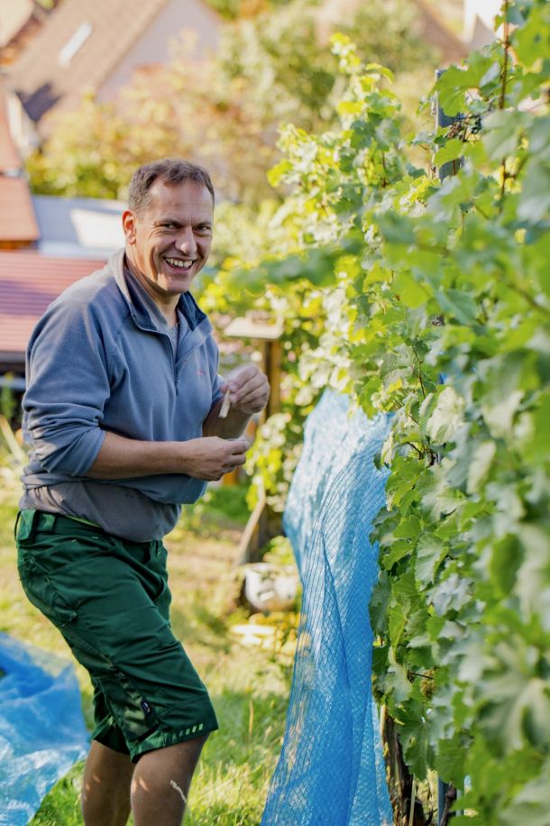 TMNZ1519-d53e94be jens-richter.com | Weinlese