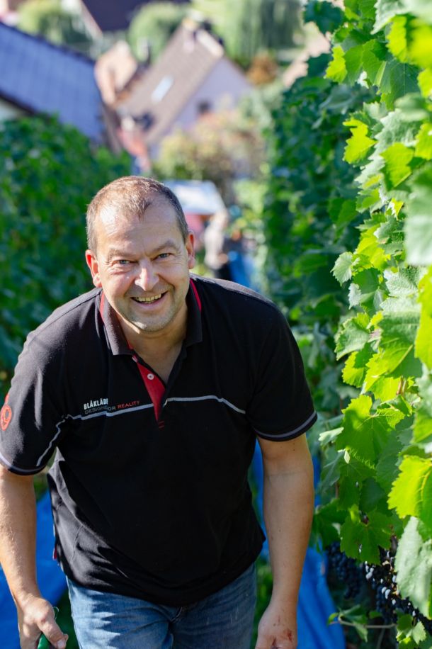 PTMV4974-e8f95f7f jens-richter.com | Weinlese